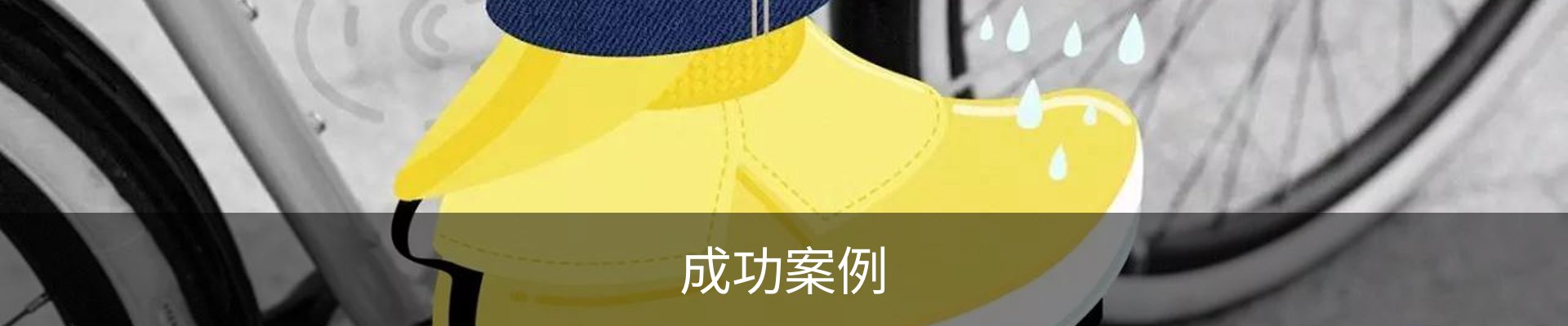 成功案例
